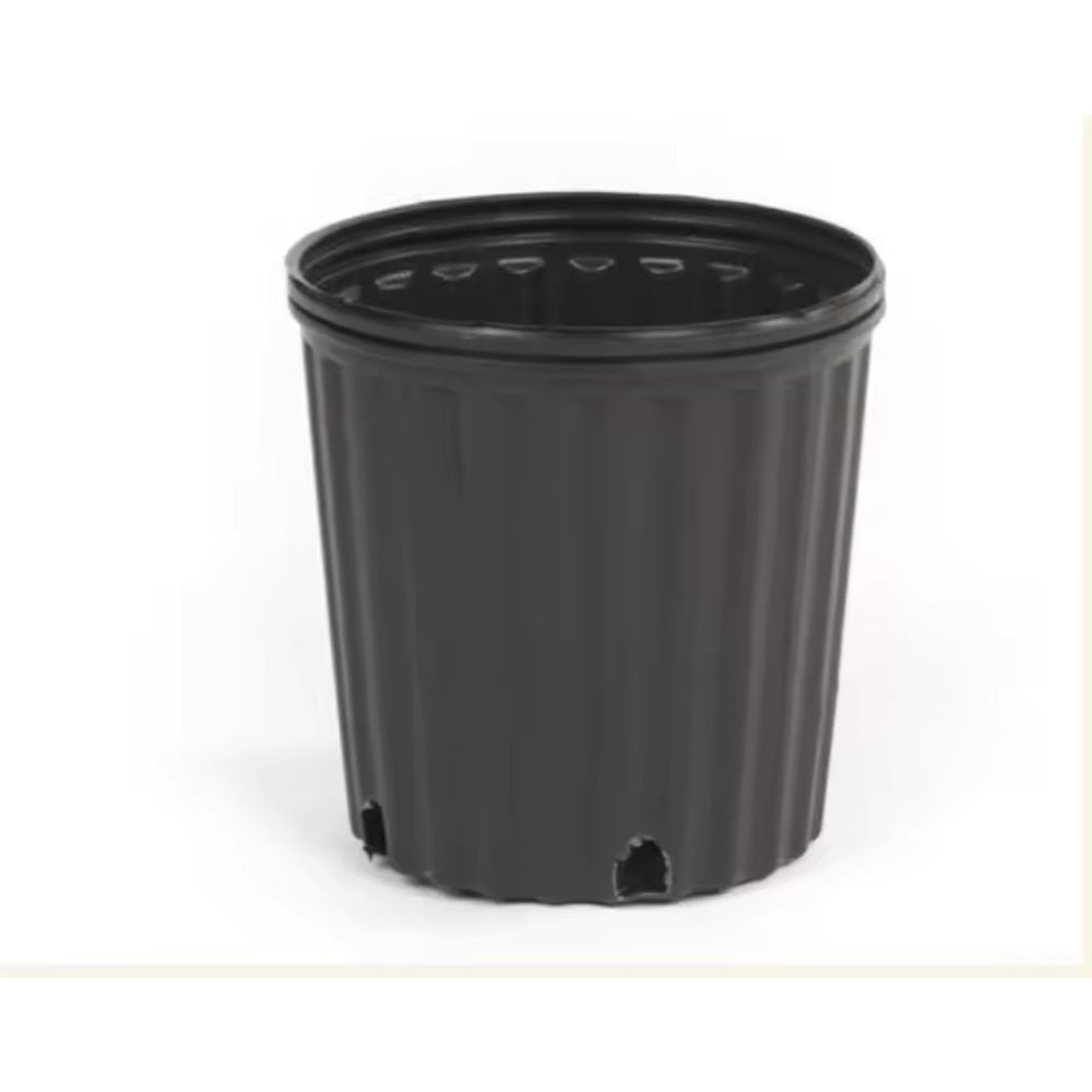 Enhance your outdoor space with our Black Nursery Container.