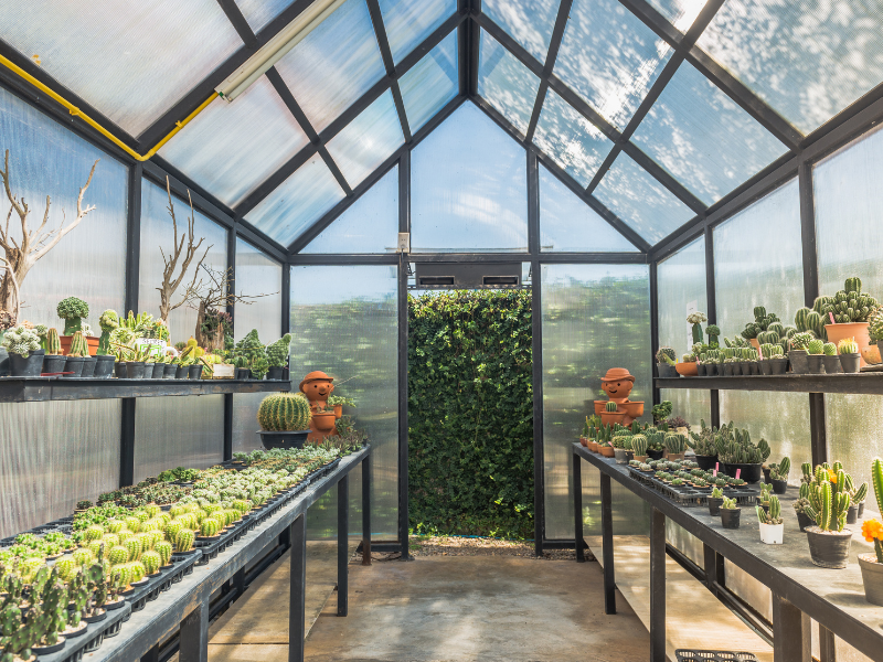 How To Create A Sustainable Eco-Friendly Greenhouse — The Greenhouse ...