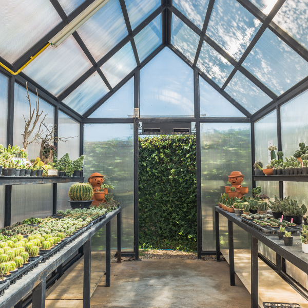 How to Create a Sustainable Eco-Friendly Greenhouse