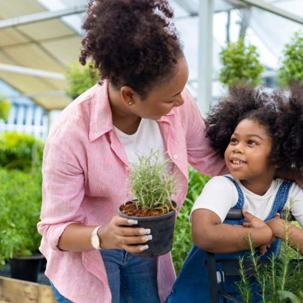 A Beginner's Guide to Choosing Your First Greenhouse