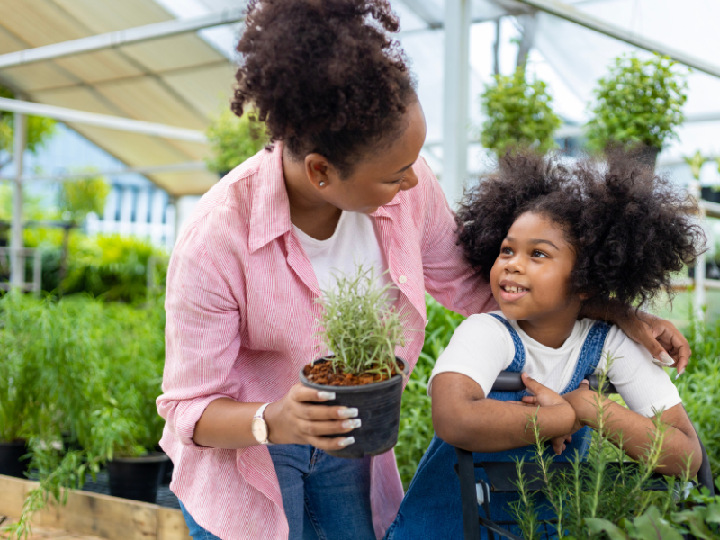 A Beginner's Guide to Choosing Your First Greenhouse